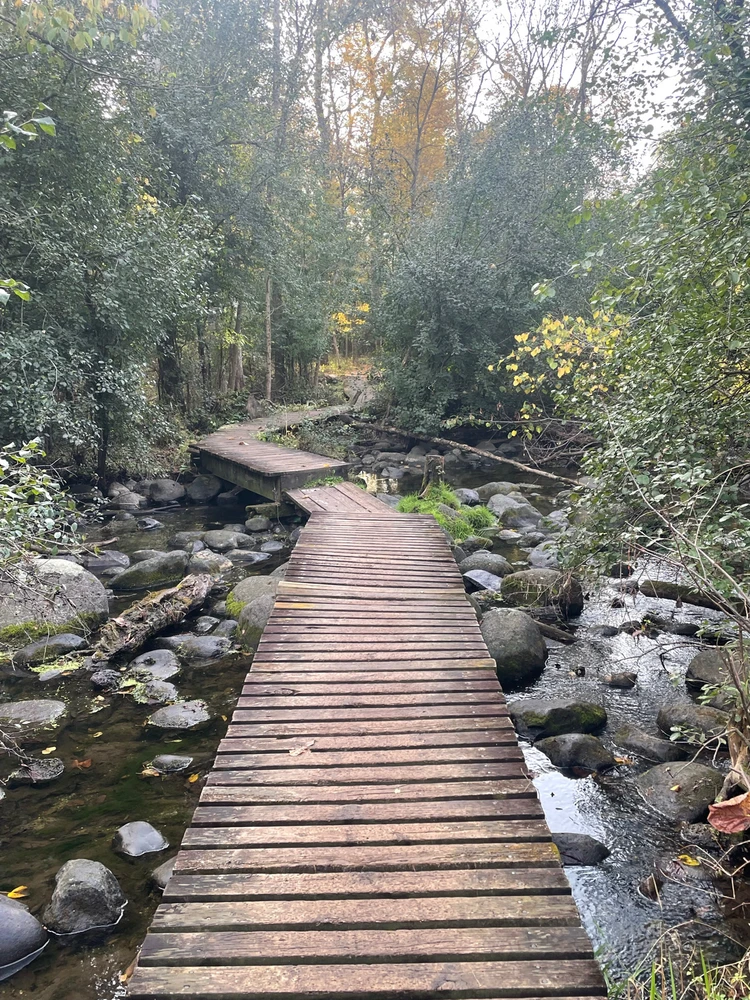 Image uploaded by Robbie