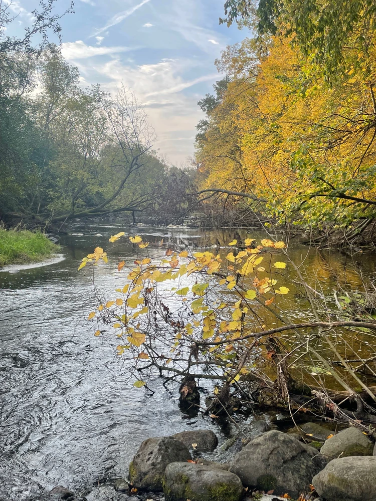 Image uploaded by Robbie