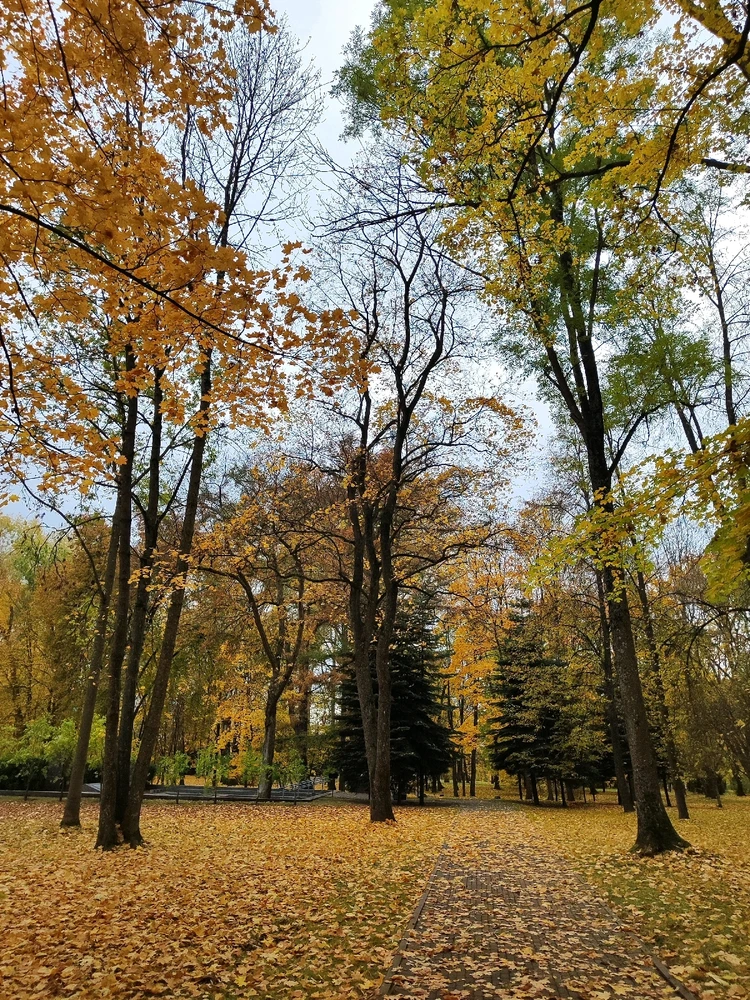 Elena 上傳的 GIF