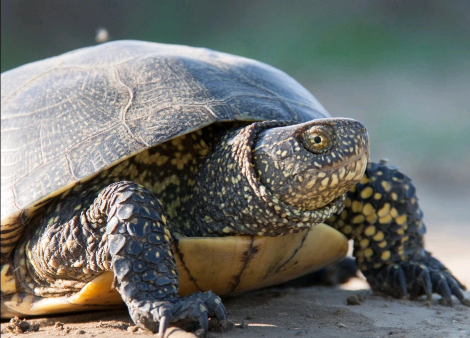 Image uploaded by Valde