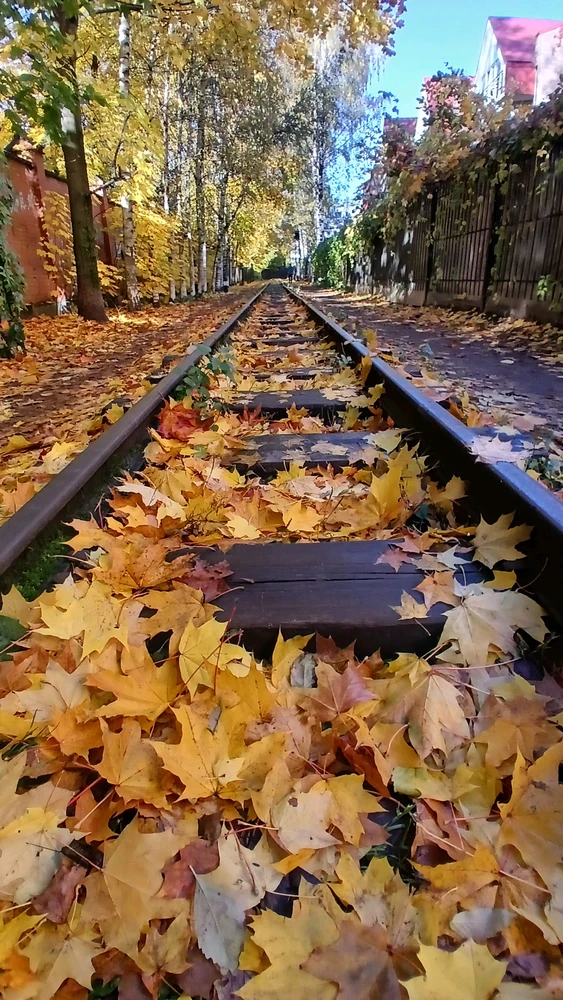 Фото загрузил Hagя