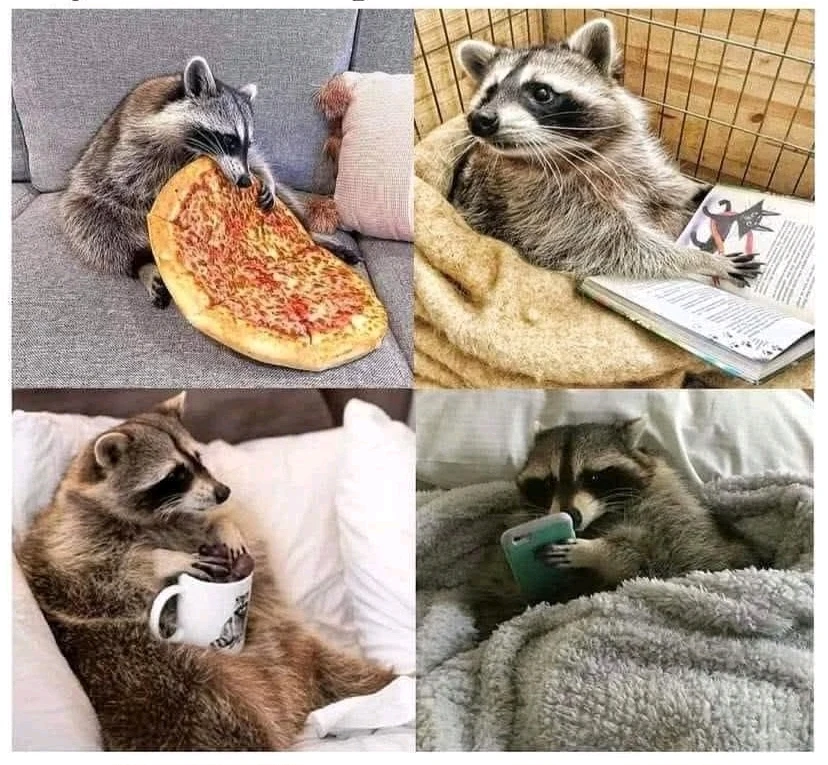 GIF hochgeladen von Doris