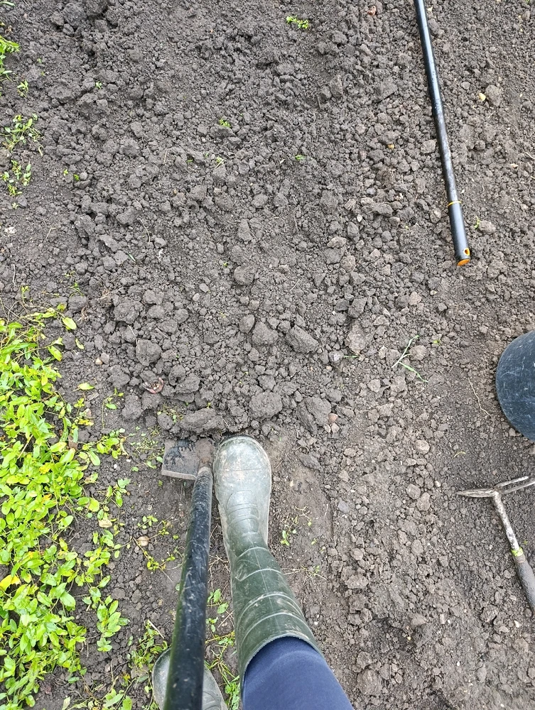 Obrázek nahrál ⭕⭕ Andrea