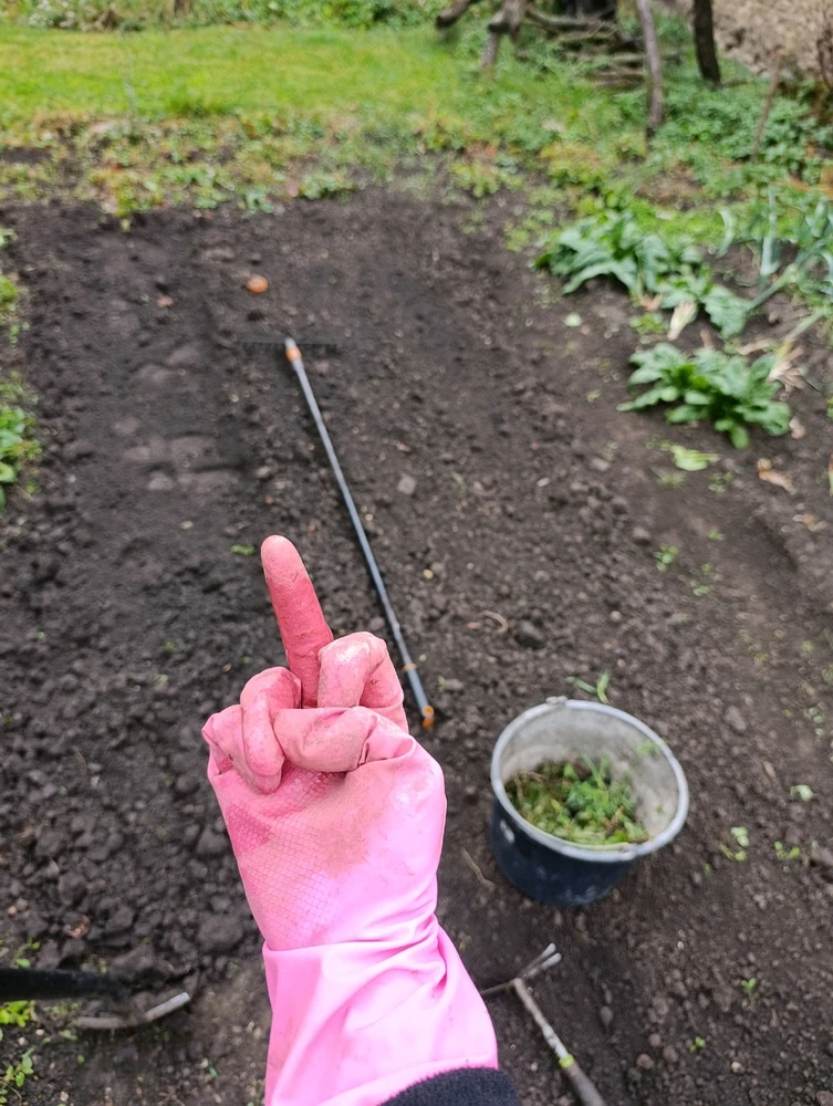 Obrázek nahrál ⭕⭕ Andrea