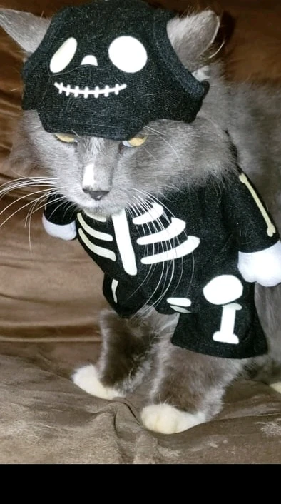 GIF uploaded by Howard Northrup