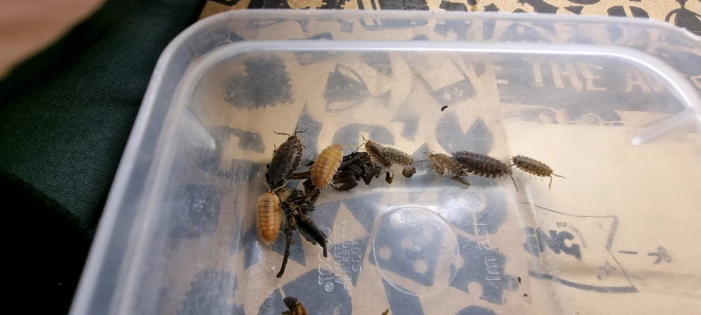 Image uploaded by J-Klamp😜🐒