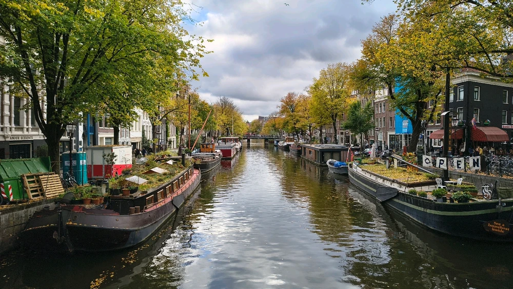 Image uploaded by Emmanuel