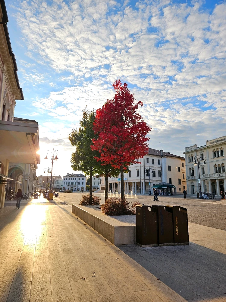 GIF caricata da Valeria