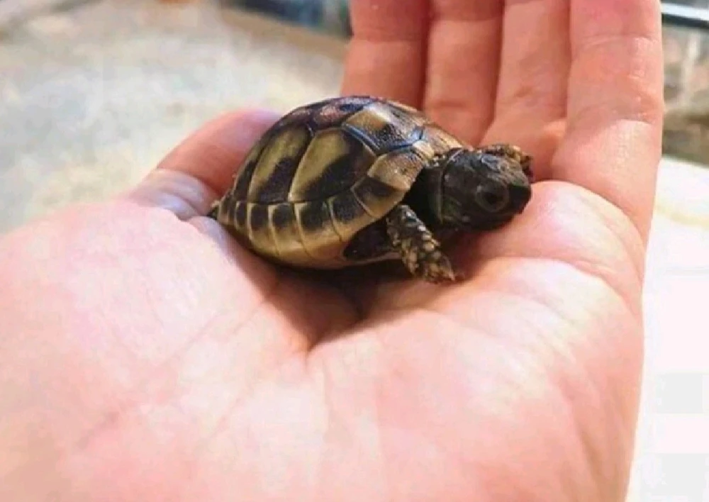 GIF uploaded by Valde