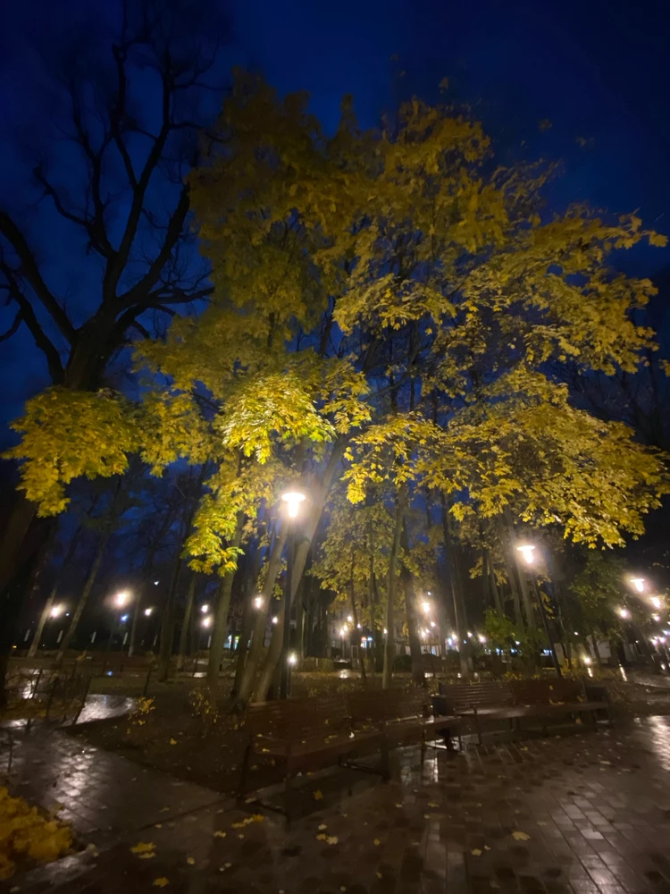 Фото загрузил Анастасия