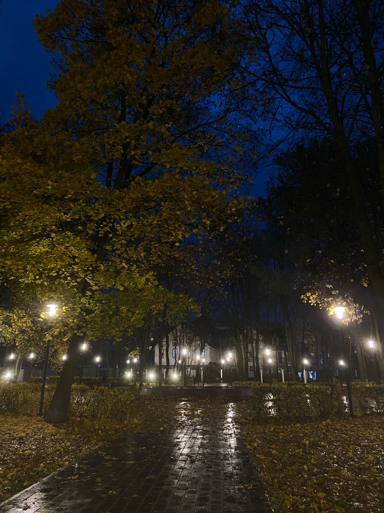 Фото загрузил Анастасия