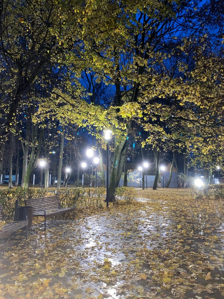 Фото загрузил Анастасия