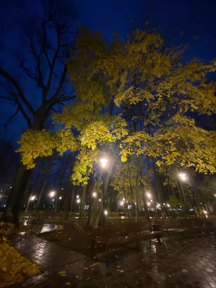 Фото загрузил Анастасия