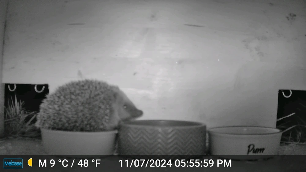 GIF hochgeladen von Nils