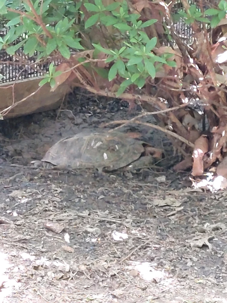 GIF uploaded by Jonathan