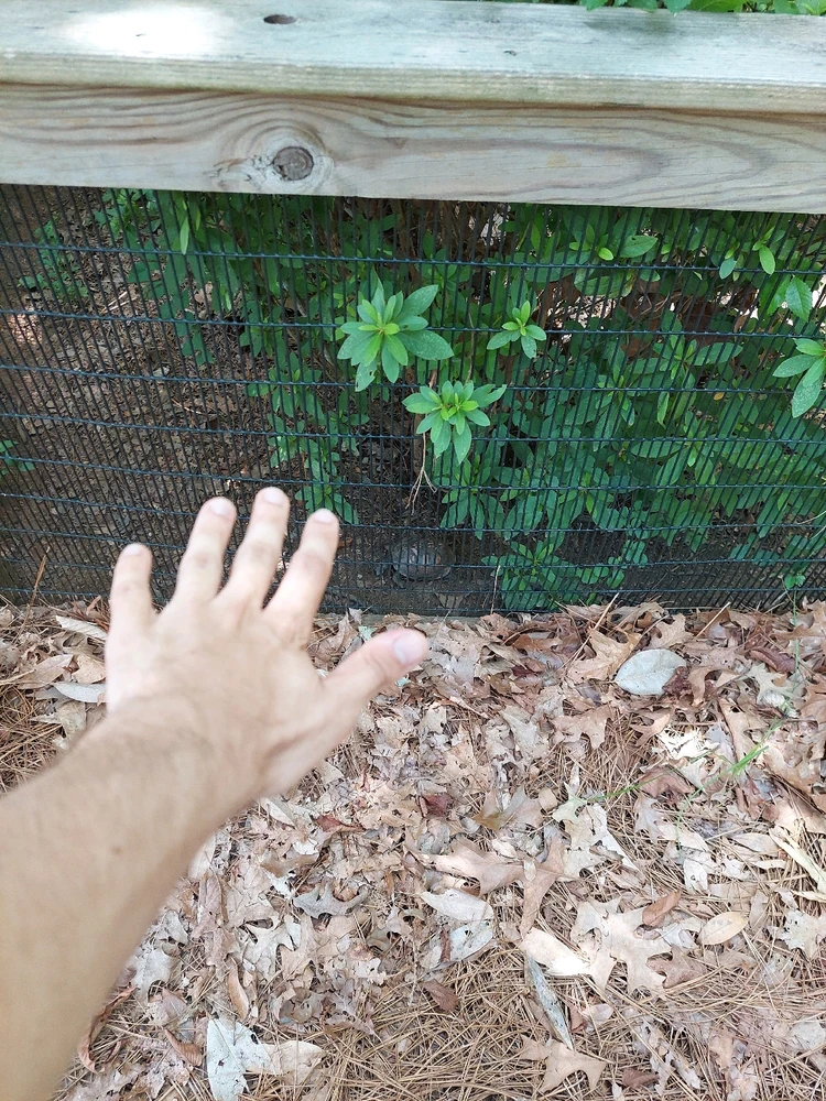 GIF uploaded by Jonathan