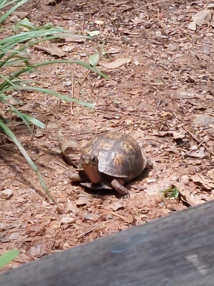 GIF uploaded by Jonathan