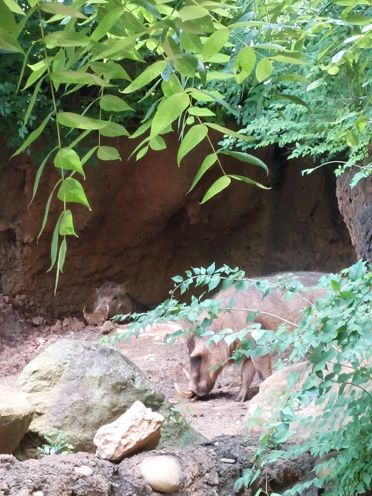 GIF diunggah dening Jonathan