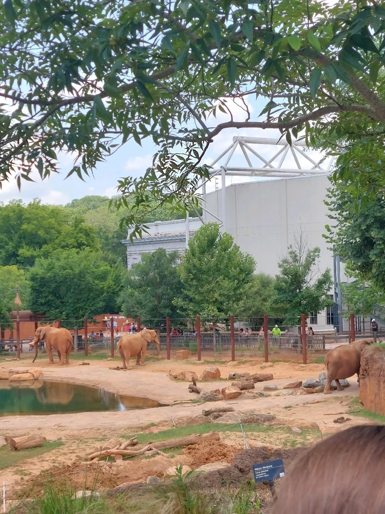 GIF uploaded by Jonathan