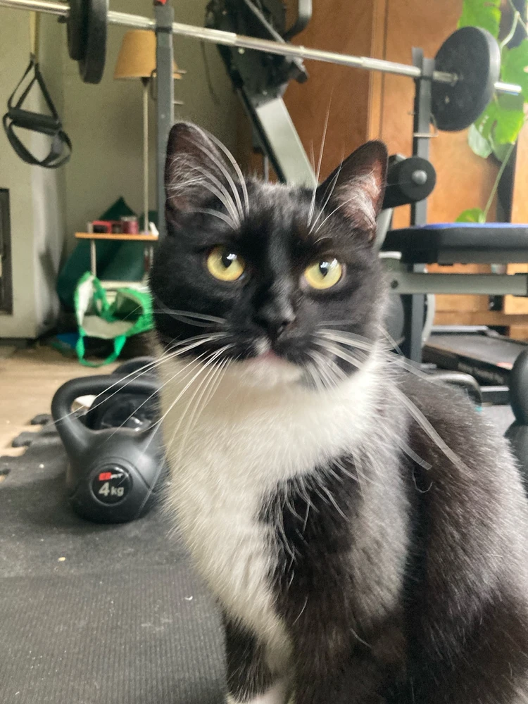 Michaś zachęca do dźwigania