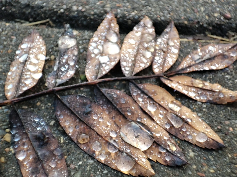 Капельки 💧