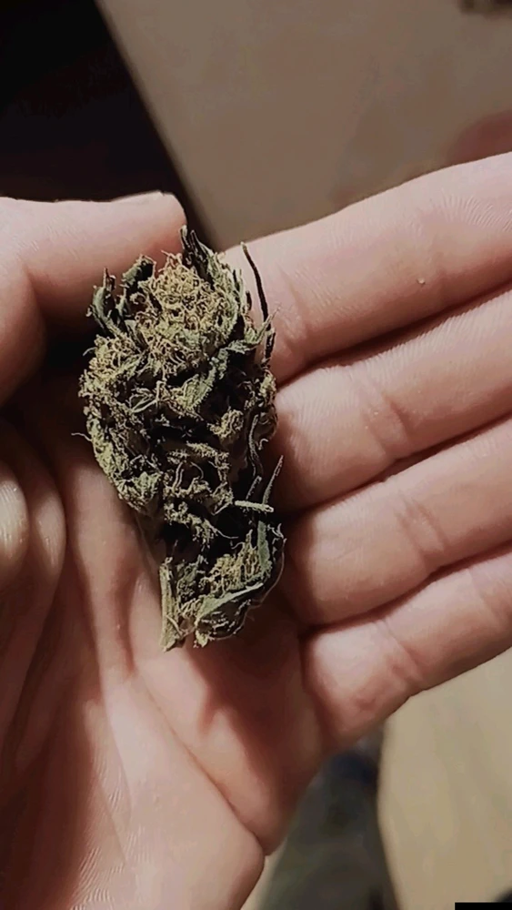 Obrázek nahrál Vojtěch Štika