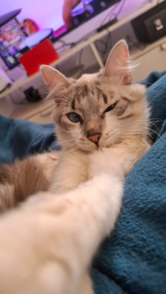 João é o nome dele