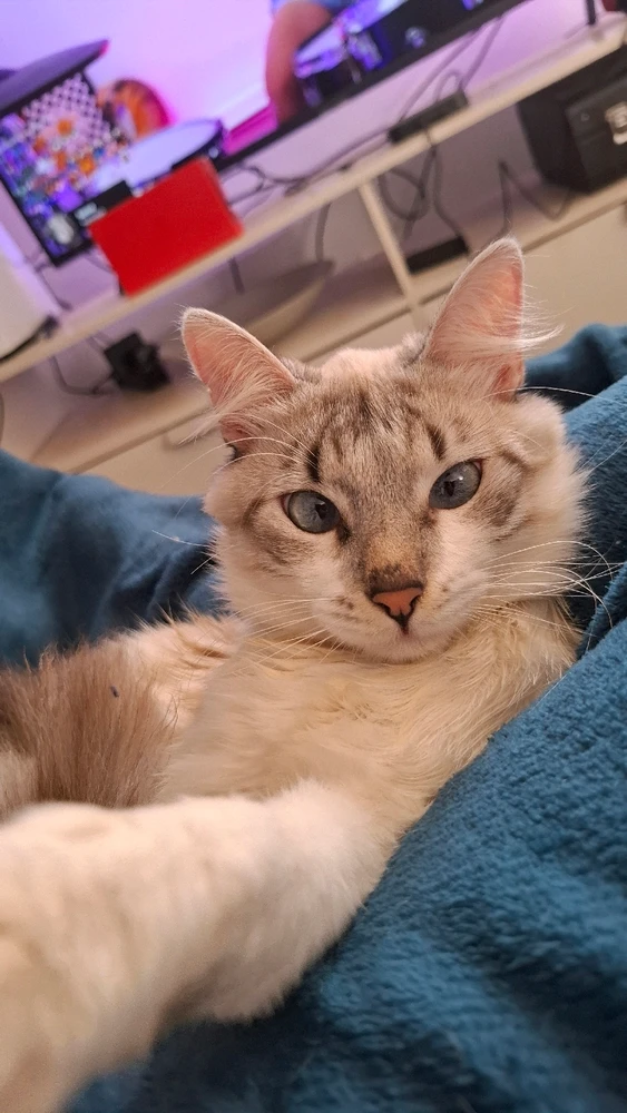 João é o nome dele