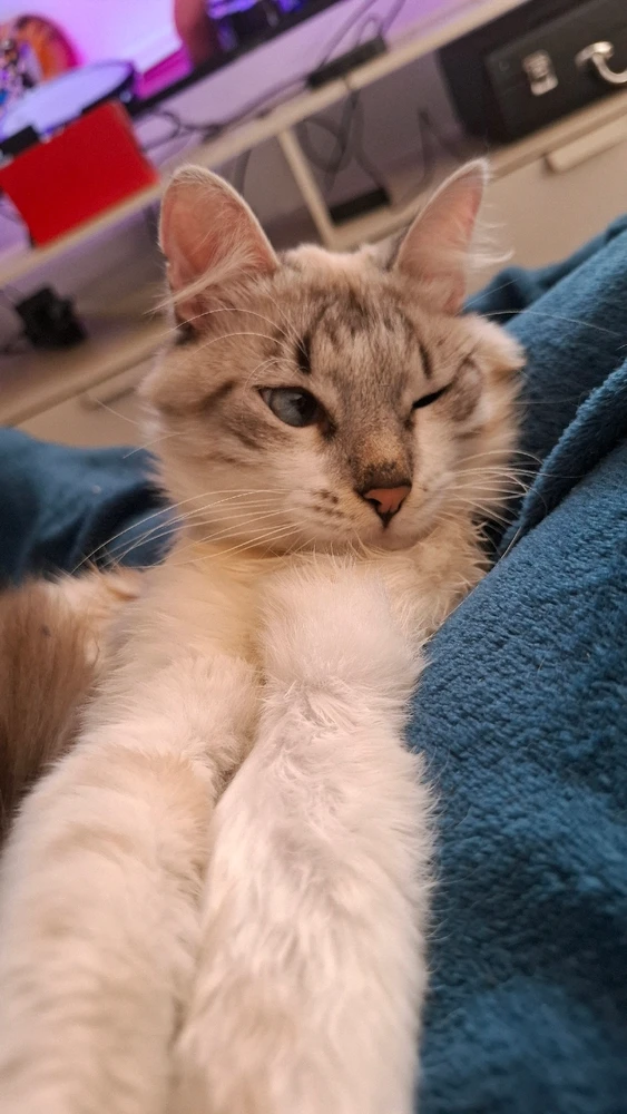 João é o nome dele