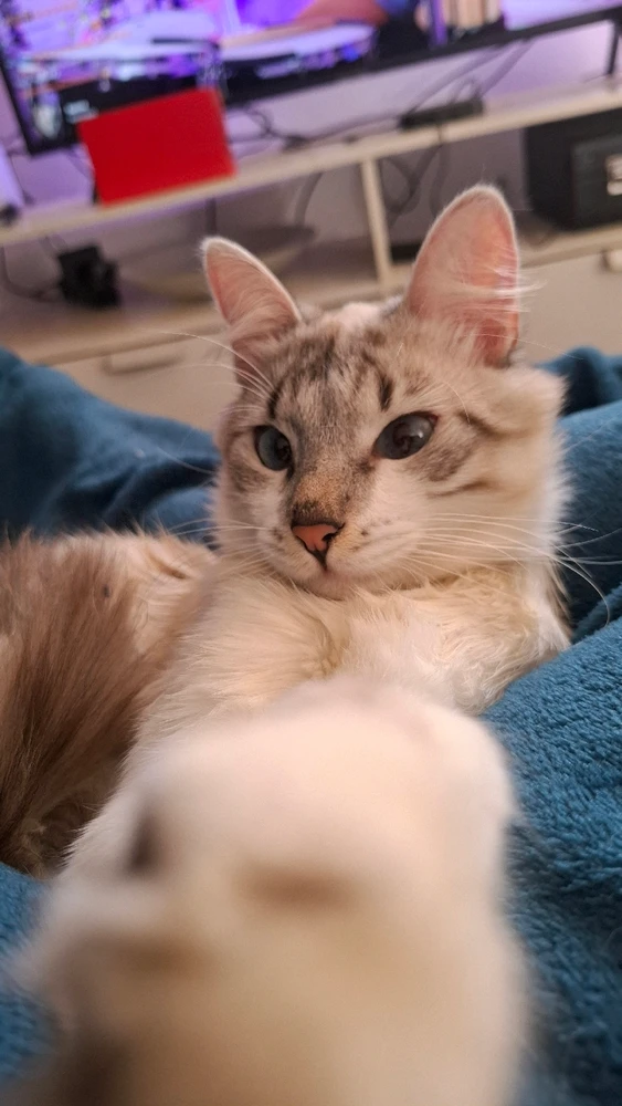 João é o nome dele