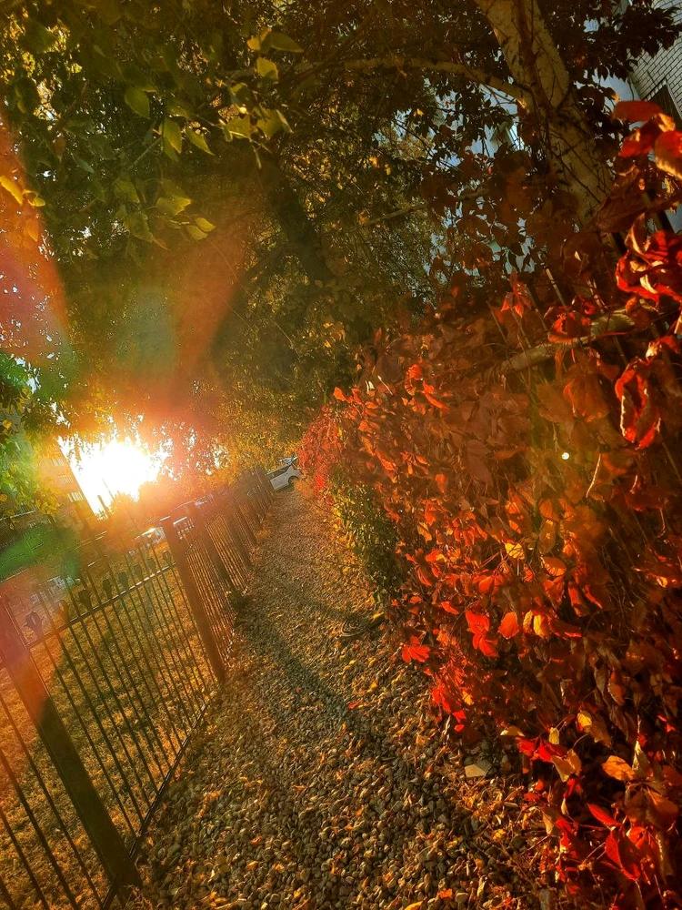 Autumn is burning brightly π