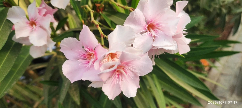 GIF uploaded by Htet Kyaw Kyaw