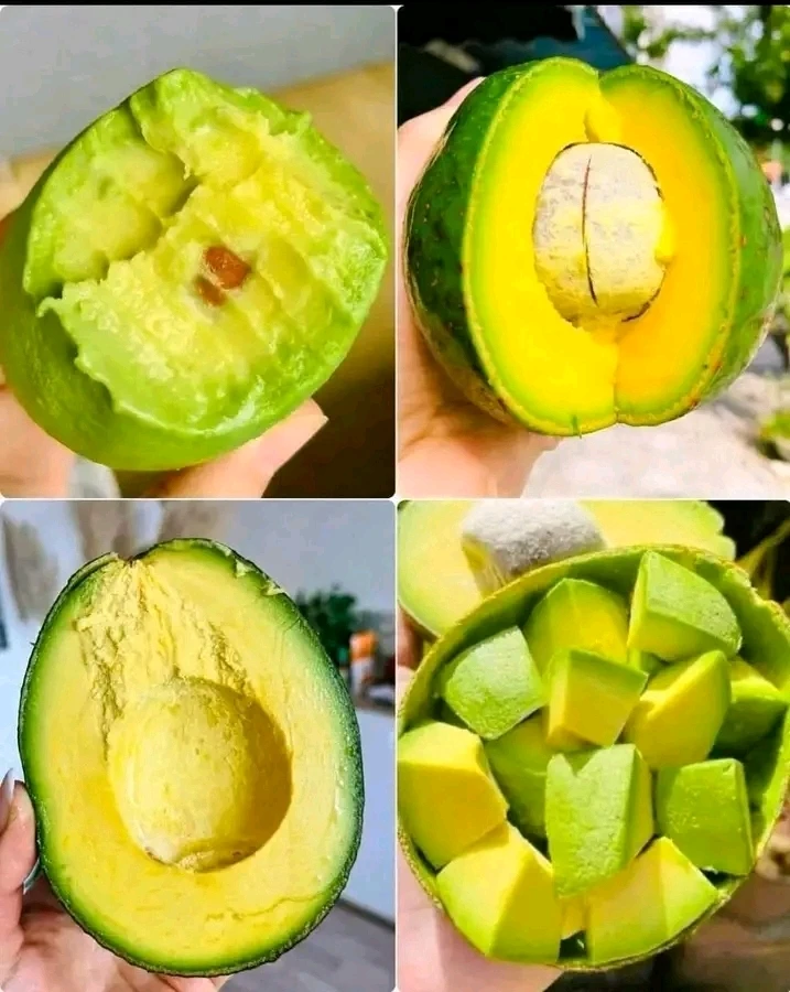 GIF ajouté par Tatiana