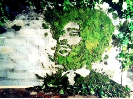 Une p'tite mousse 🍃