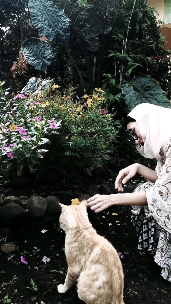 GIF diunggah oleh ranni