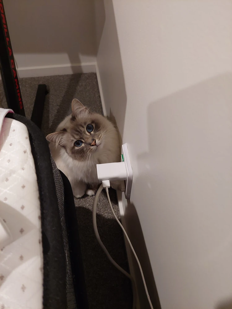 由Richard上传的图片