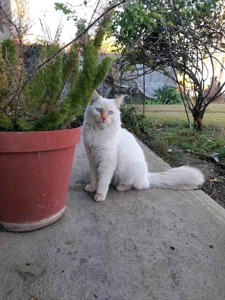 Image uploaded by Ayden