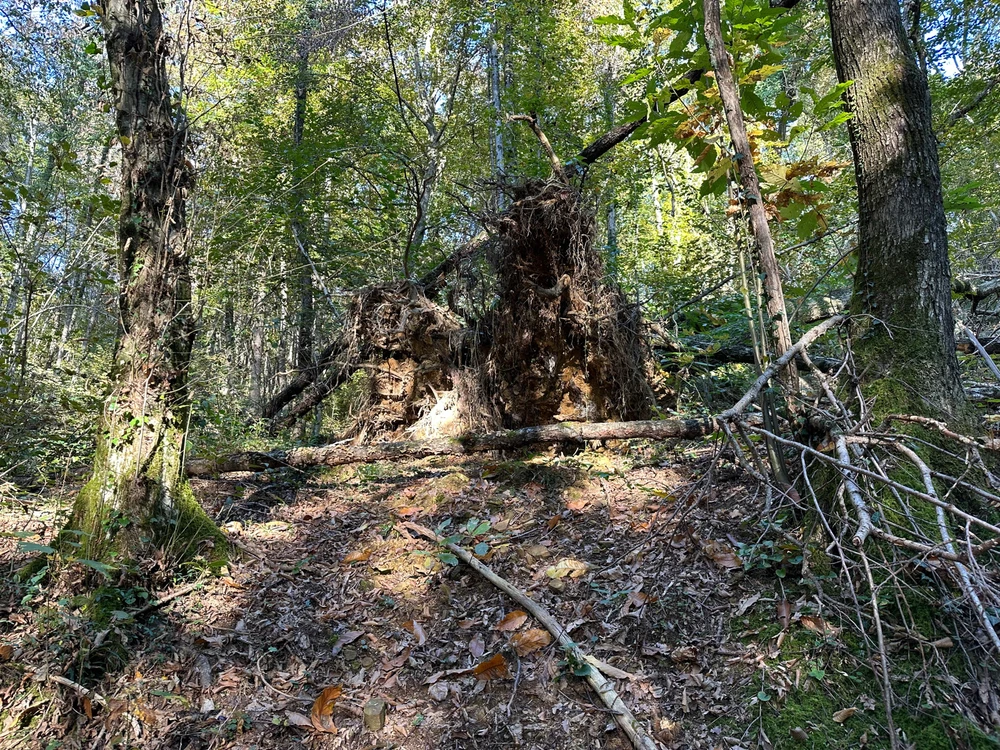 Image uploaded by Michele