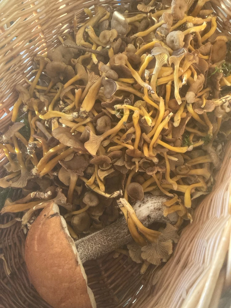 Image uploaded by Fredric