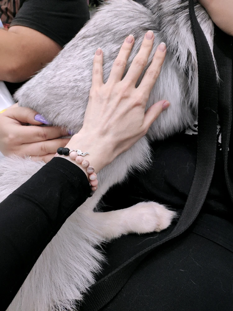 Фото загрузил 🅦🅣🅕ⓄⓍ