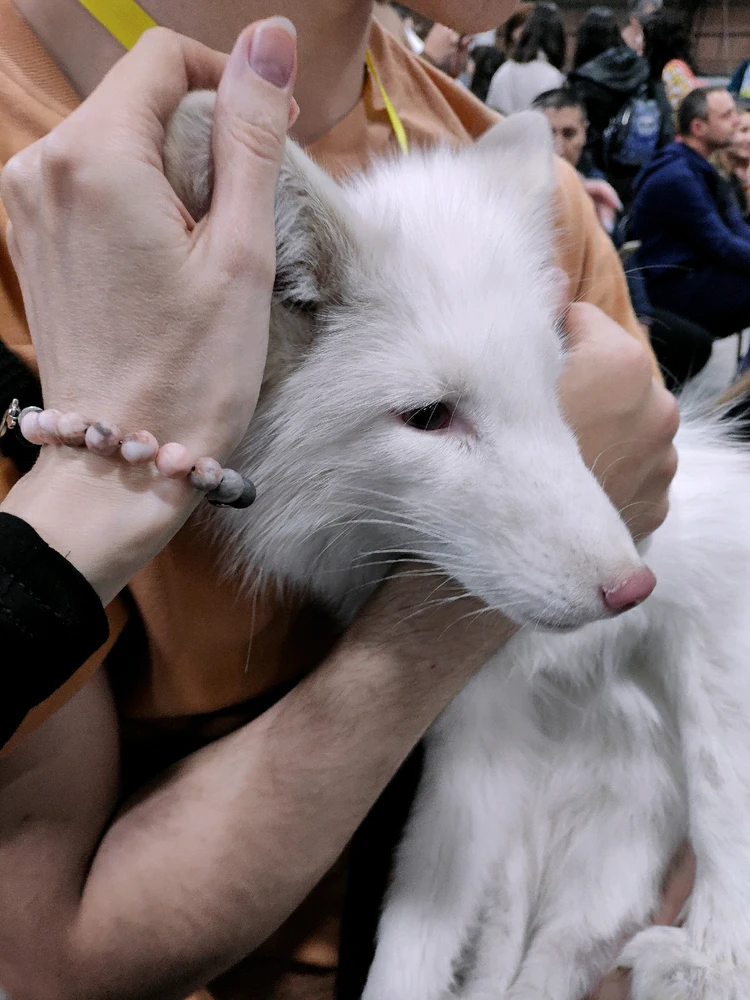 Фото загрузил 🅦🅣🅕ⓄⓍ