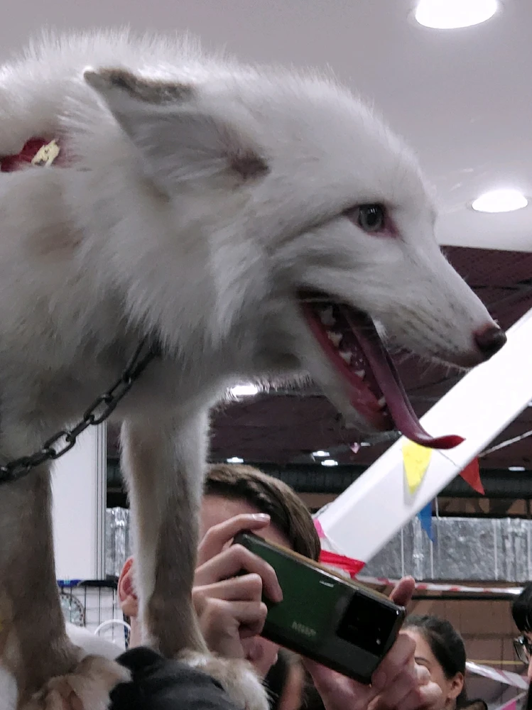 Фото загрузил 🅦🅣🅕ⓄⓍ