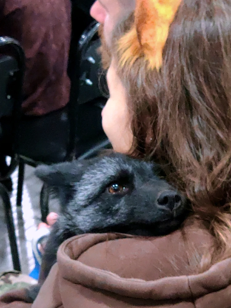 Фото загрузил 🅦🅣🅕ⓄⓍ