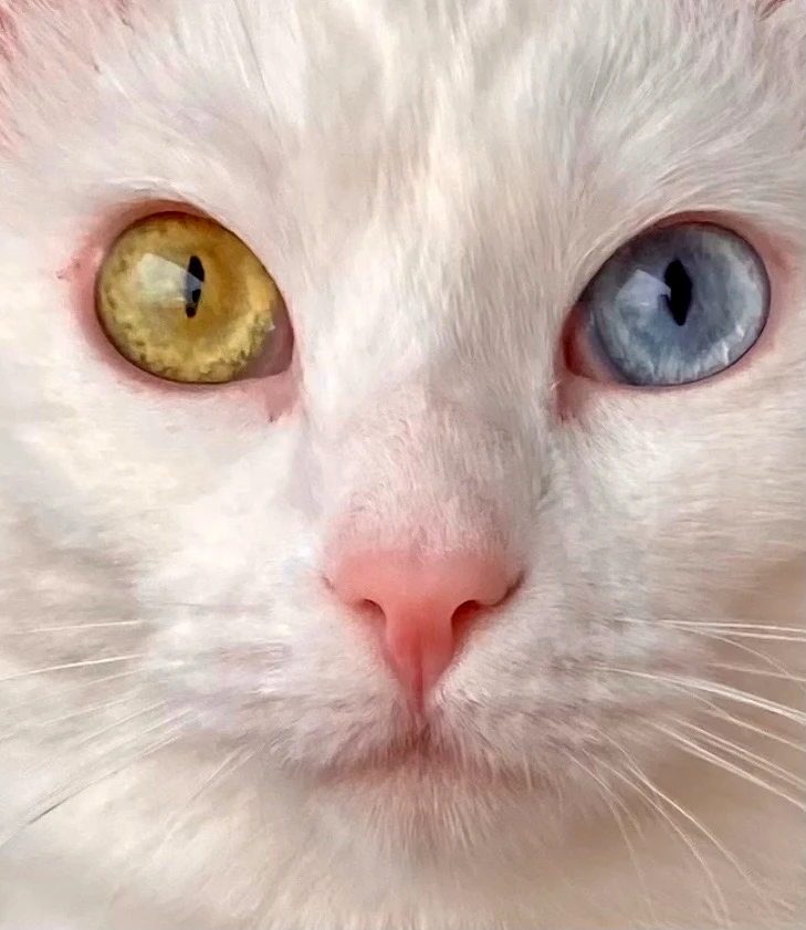 Obrázek nahrál Katy