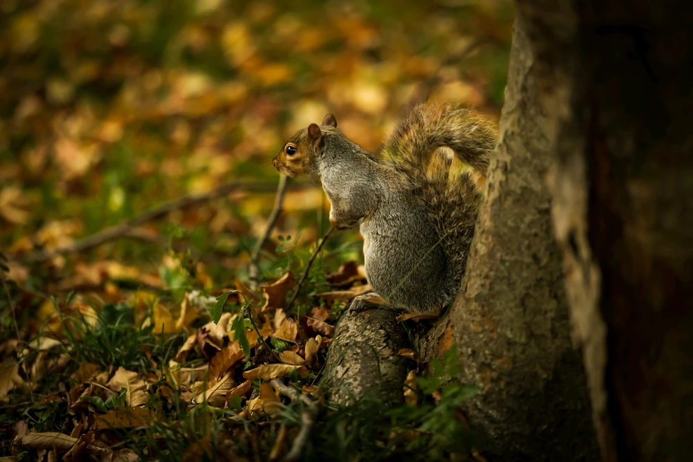 Image uploaded by Andrei