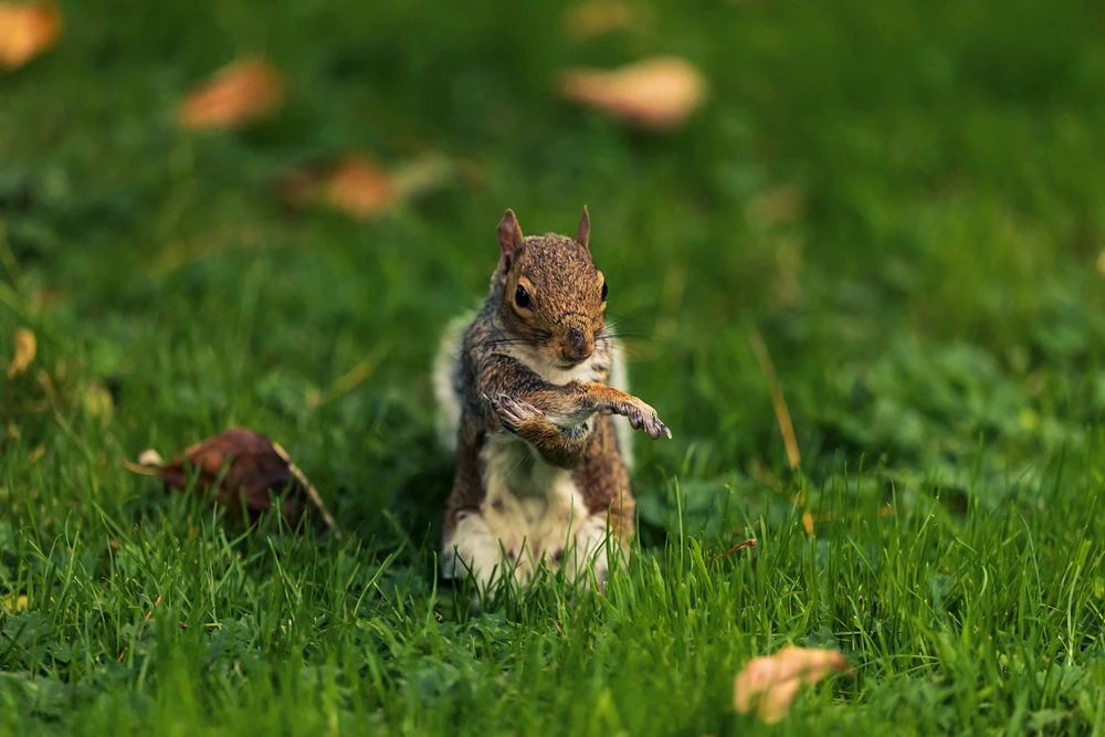 Image uploaded by Andrei