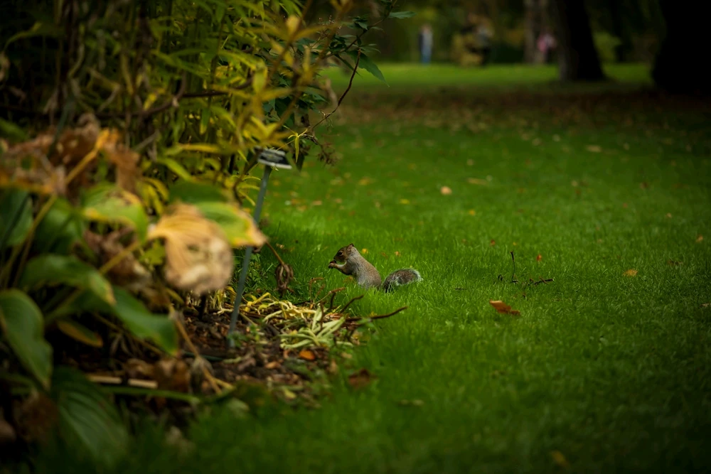 Image uploaded by Andrei