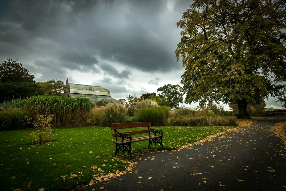 Image uploaded by Andrei