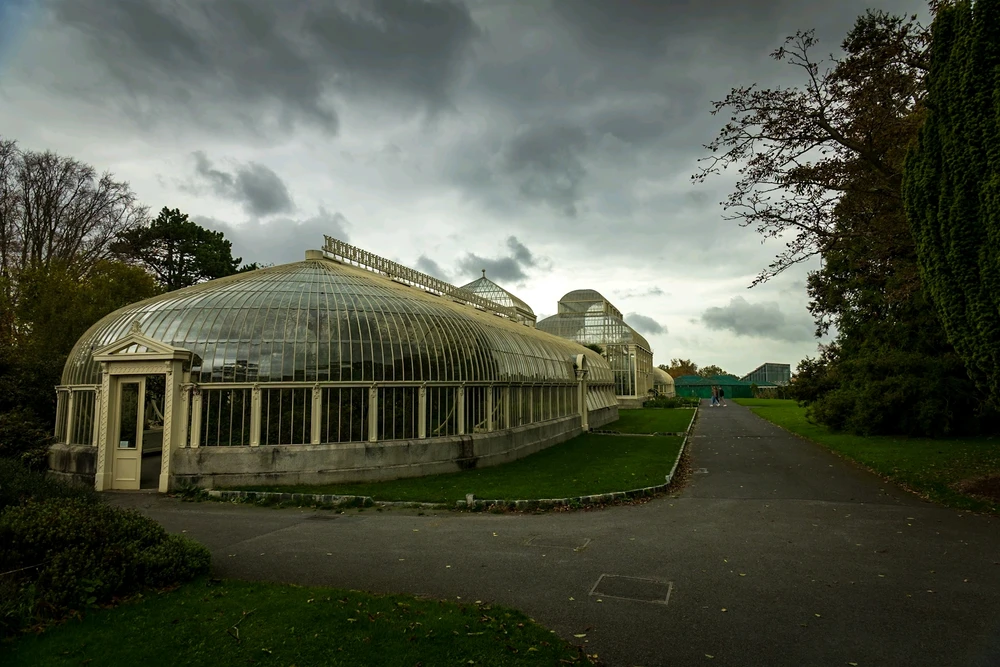 Image uploaded by Andrei