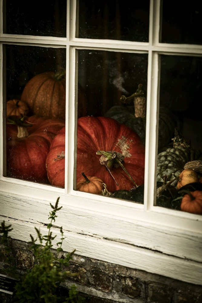 Image uploaded by Andrei